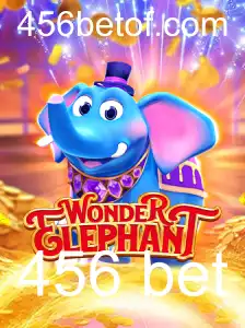 Descobrindo o Mundo Fascinante de WonderElephant